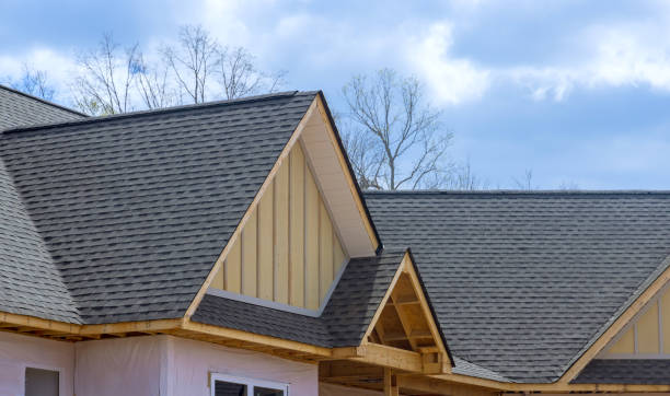 Best Chimney Flashing Repair  in Carl Junction, MO